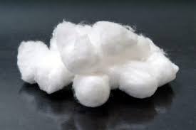 algodon